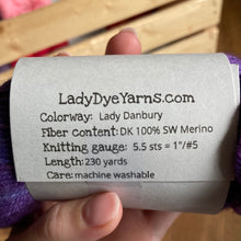 Load image into Gallery viewer, Lady Dye Yarns - DK (lady Danbury) - Red Sock Blue Sock Yarn Co

