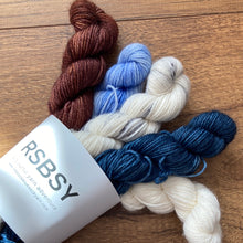 Load image into Gallery viewer, Mix it up! - Mini Skein Collection - Red Sock Blue Sock Yarn Co
